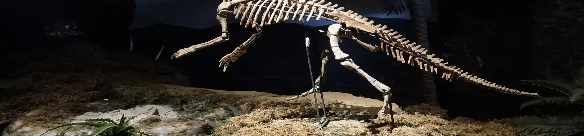 Top China Guide banner