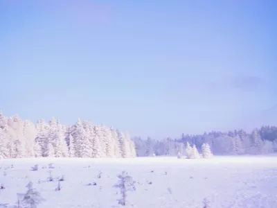 Long Neck of the Lake
