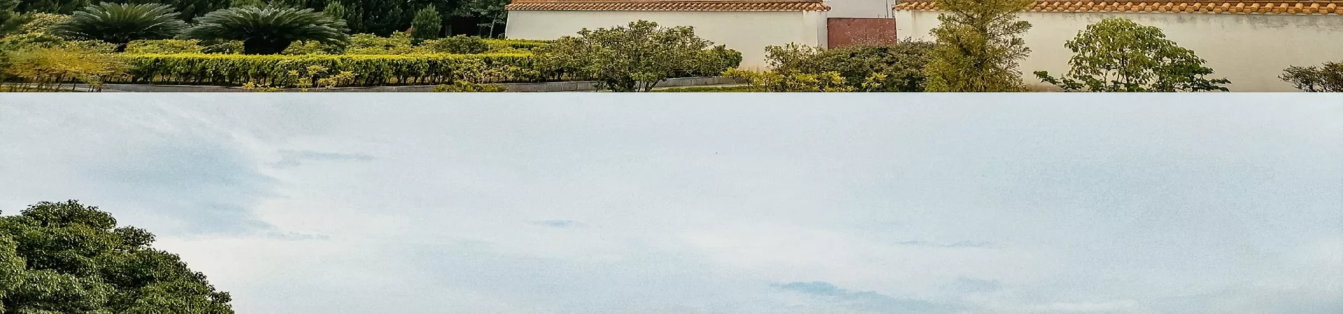 Top China Guide banner