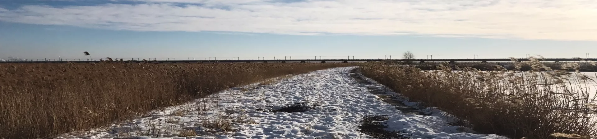 Top China Guide banner