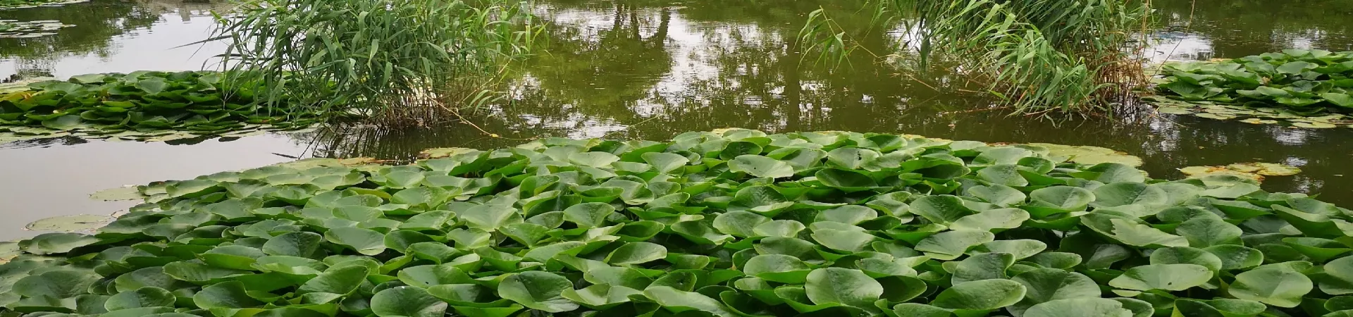 Top China Guide banner