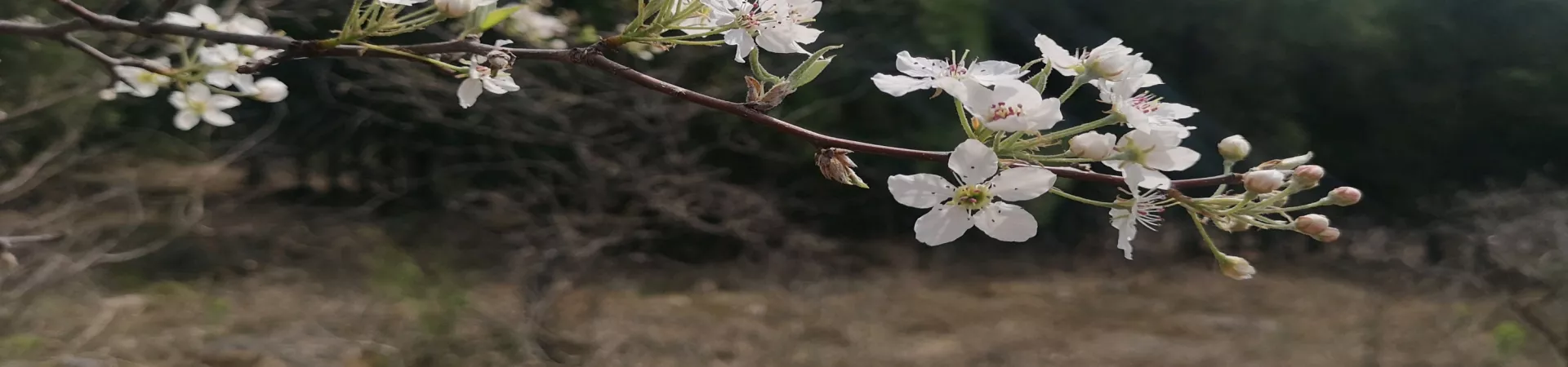 Top China Guide banner
