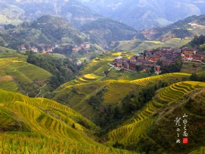 Longji Terraced Field
