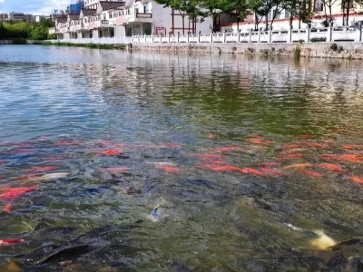 Longjiang Park