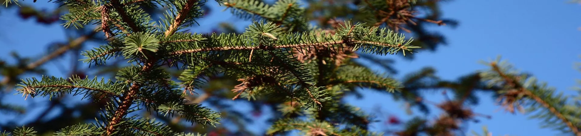 Top China Guide banner