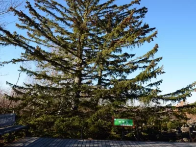 Longmen Shizhai Scenic Area