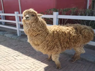 Longsha Animal and Botanical Garden