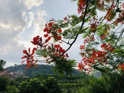Longshan Hot Springs