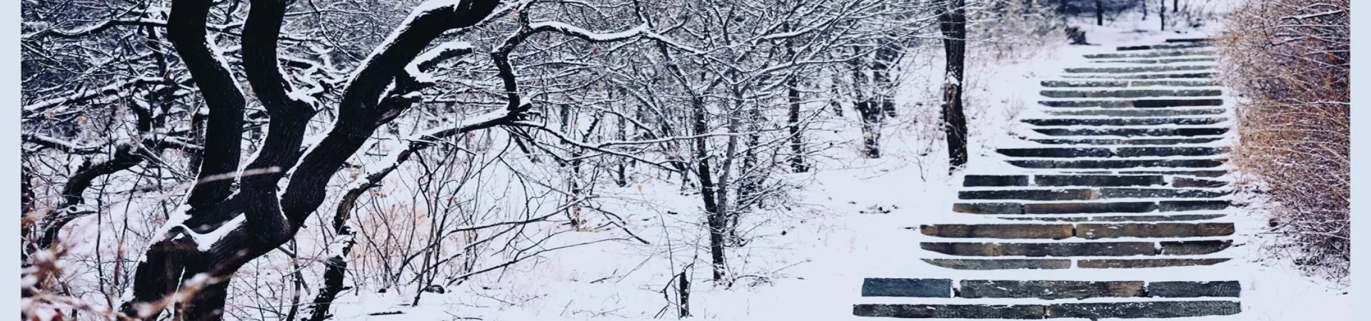 Top China Guide banner