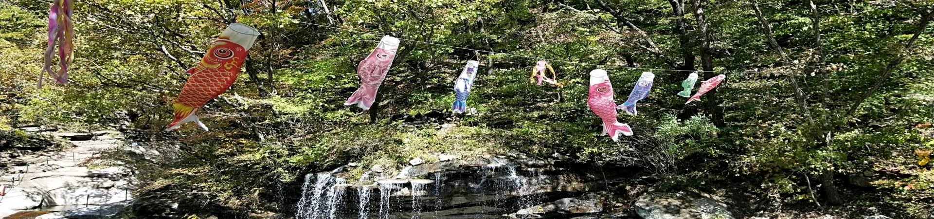 Top China Guide banner