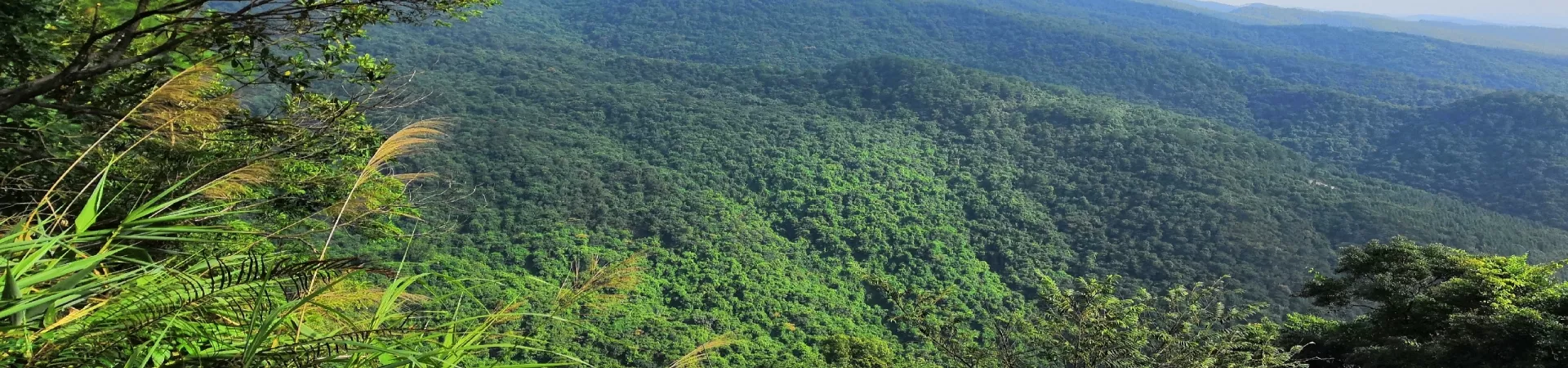 Top China Guide banner