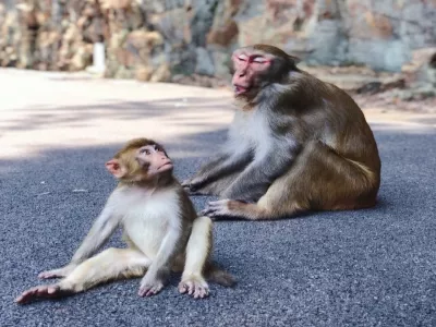 Longtan National Forest Park