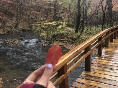 Longwanqun National Forest Park