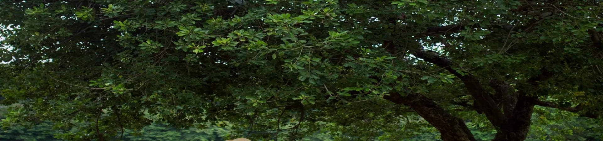 Top China Guide banner