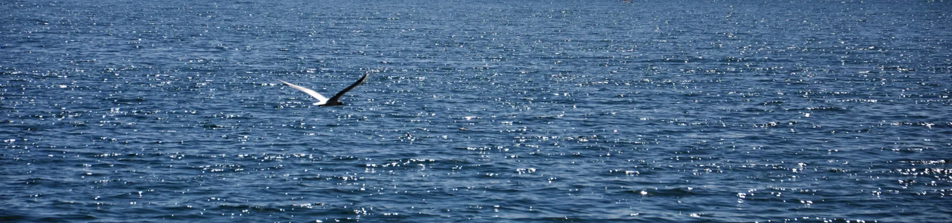 Top China Guide banner