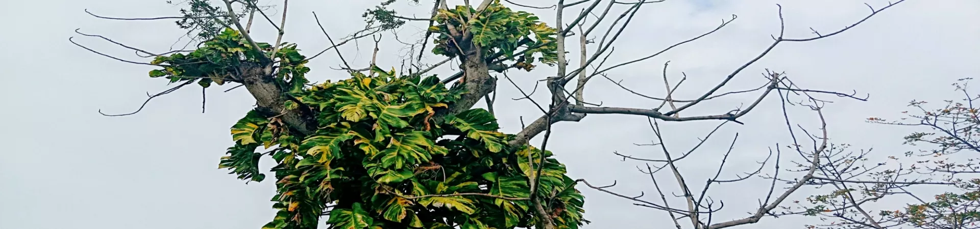 Top China Guide banner