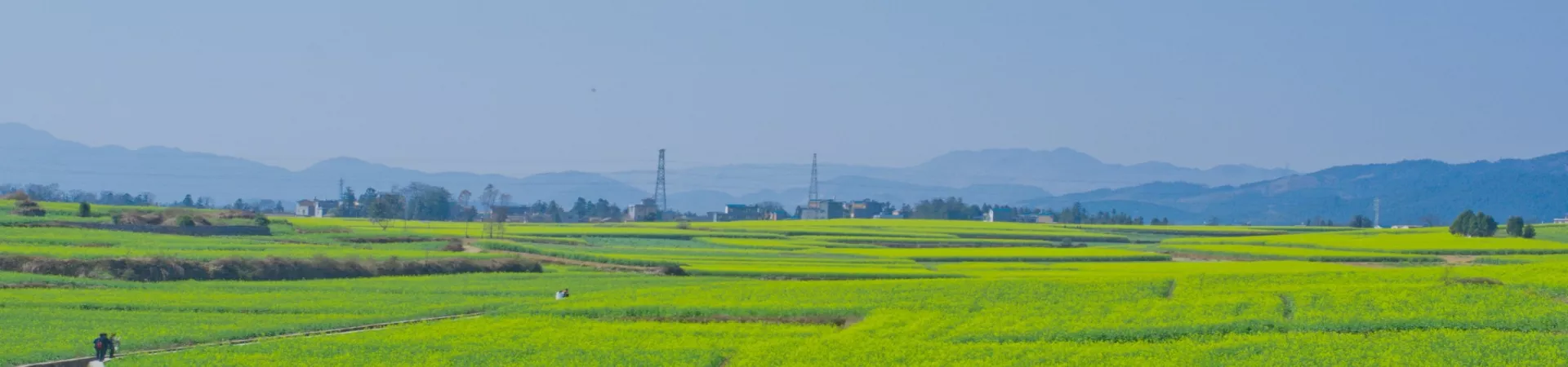 Top China Guide banner