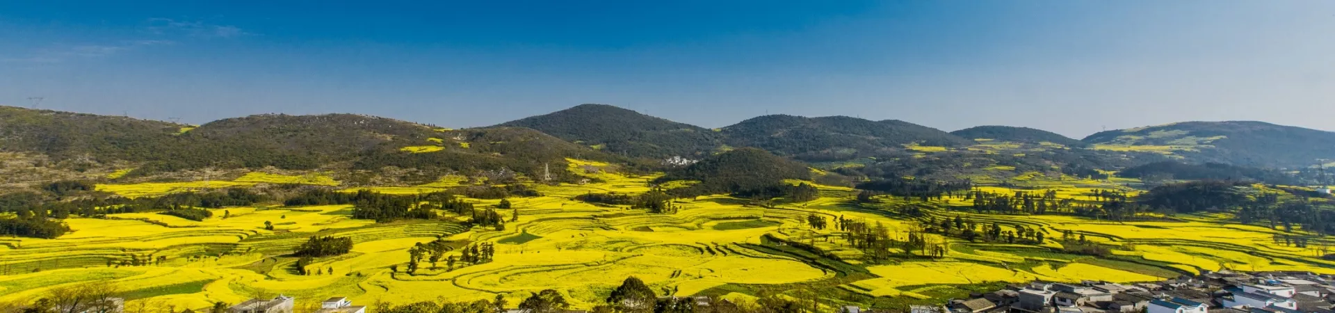 Top China Guide banner