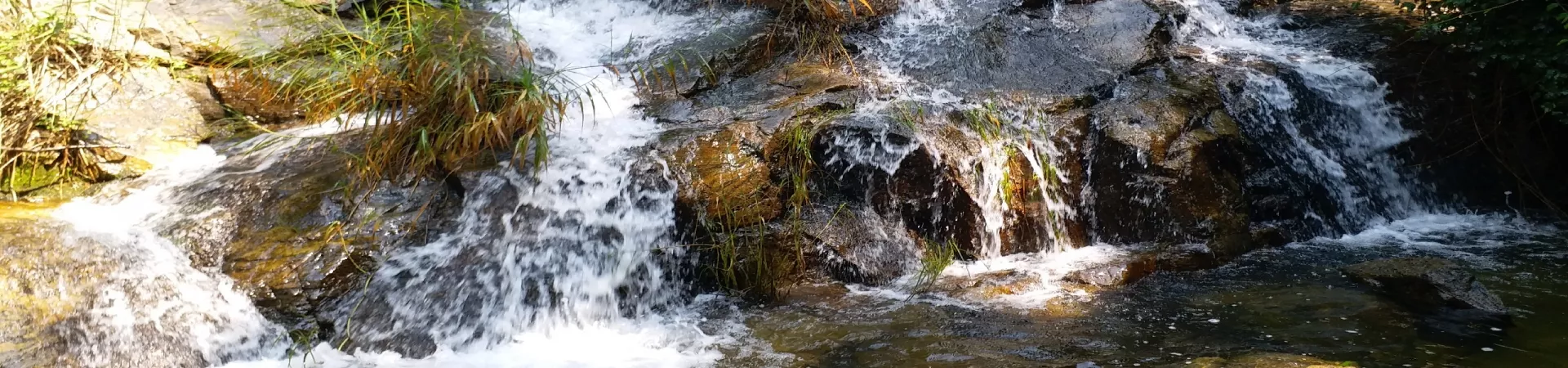 Top China Guide banner