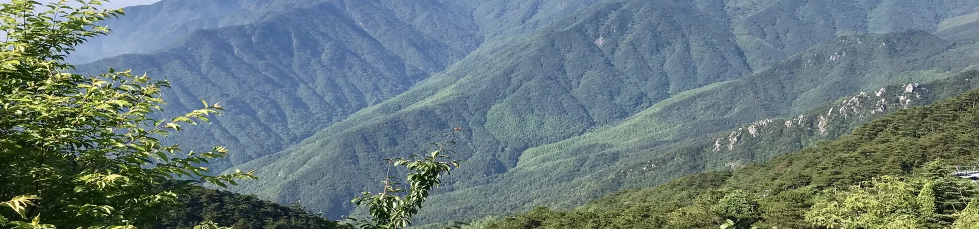 Top China Guide banner