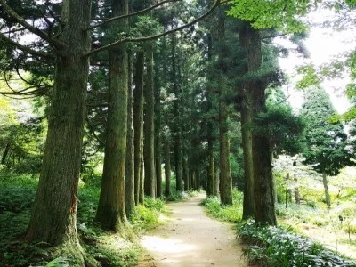 Lushan National Key Scenic Area - Lushan Huajing Park