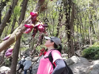 Lushui Lake Scenic Spot