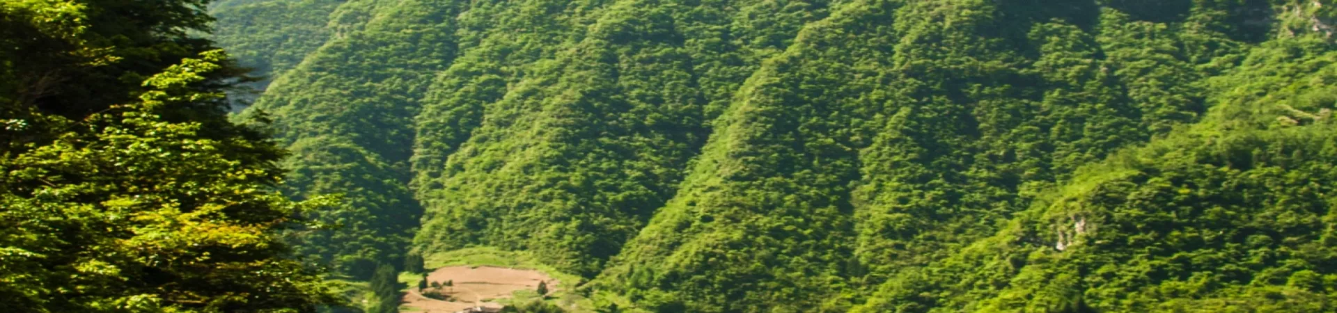 Top China Guide banner