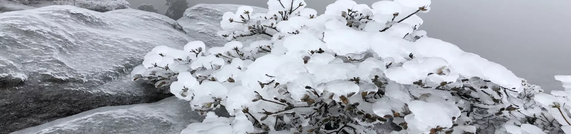 Top China Guide banner