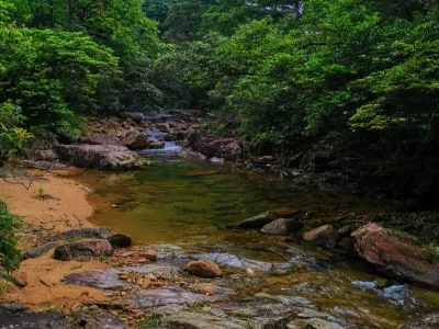 Mangshan National Forest Park