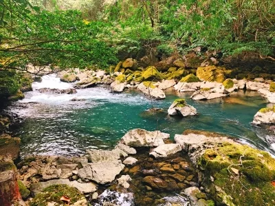 Guizhou Maolan National Nature Reserve