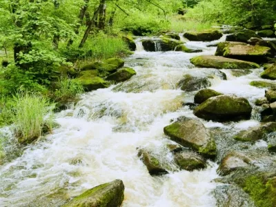 Maolangou National Forest Park 