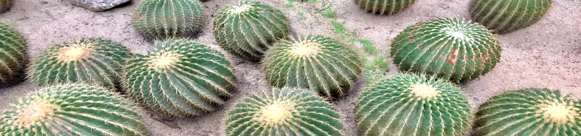 Top China Guide banner