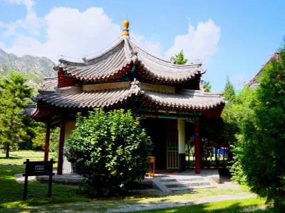 Meidaizhao