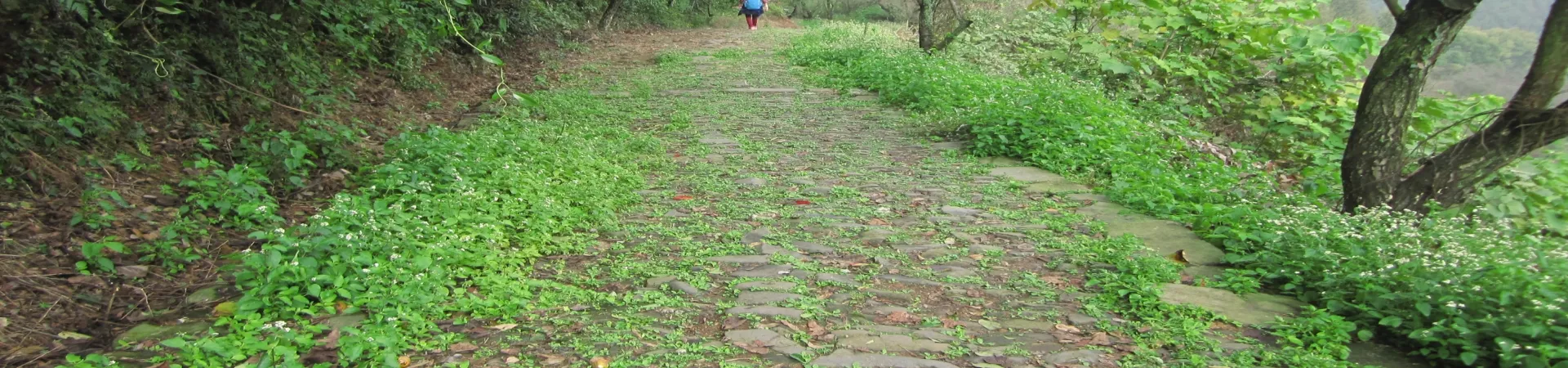 Top China Guide banner