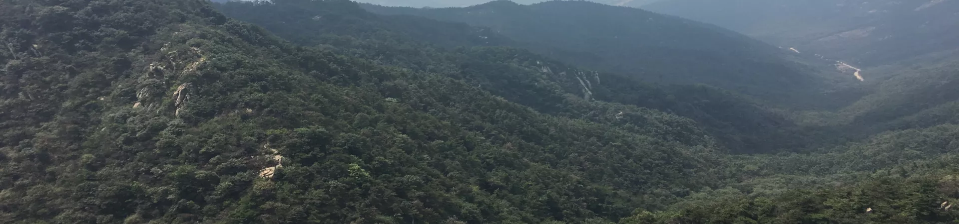 Top China Guide banner