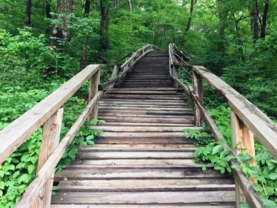 Monkey Stone National Forest Park
