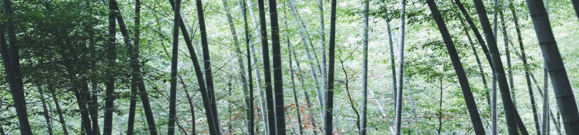 Top China Guide banner