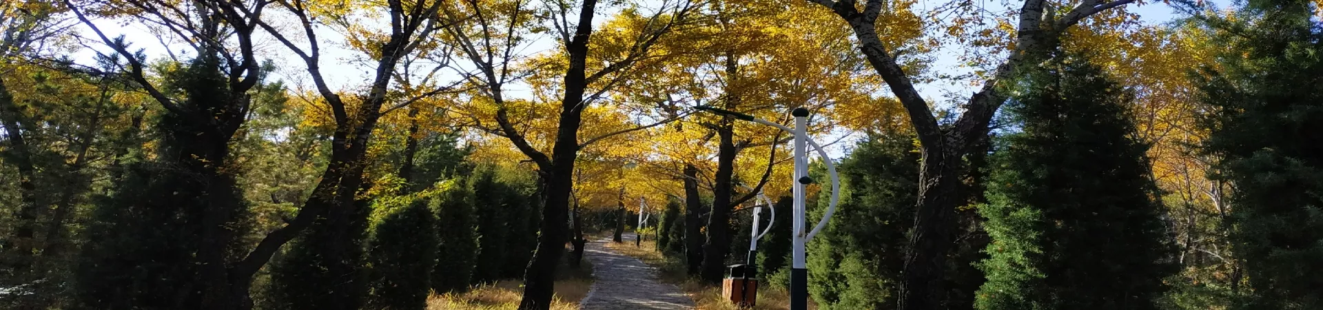 Top China Guide banner