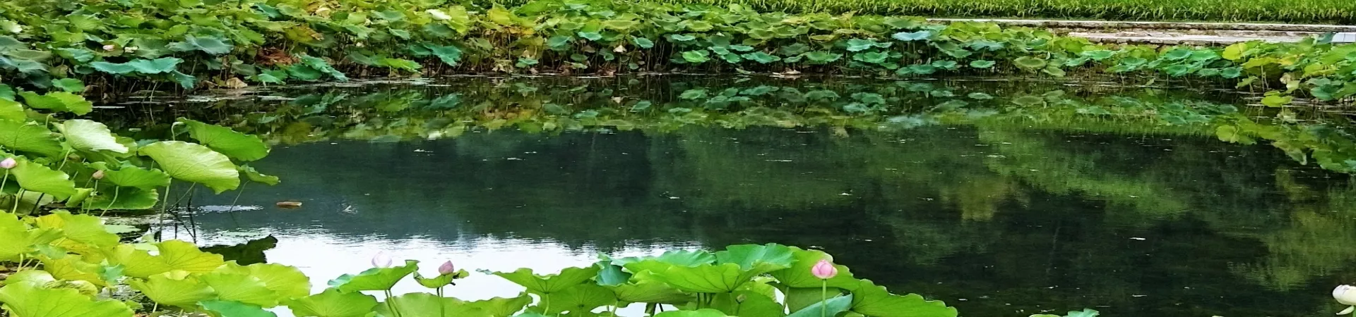 Top China Guide banner