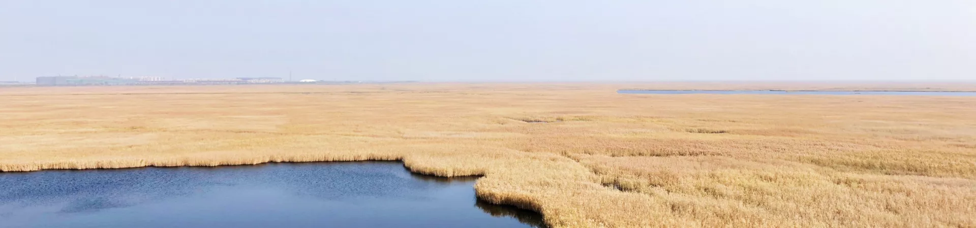 Top China Guide banner