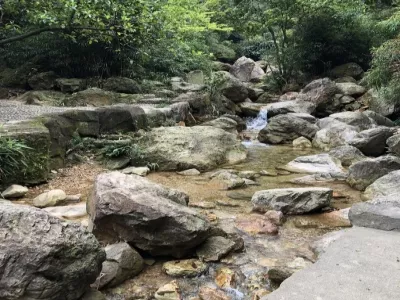 Nanhai Bay Forest Ecological Park