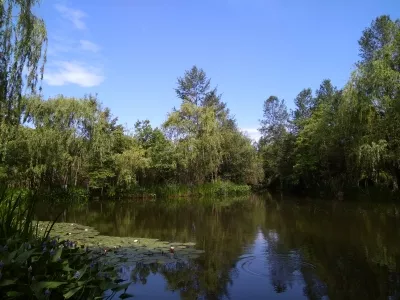 Nanhe Wetland Park