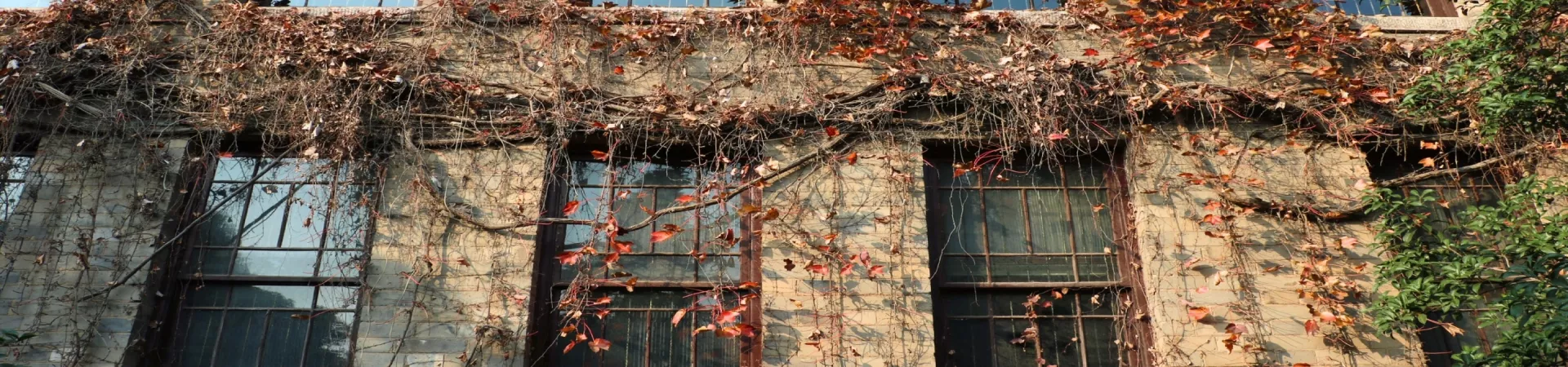 Top China Guide banner