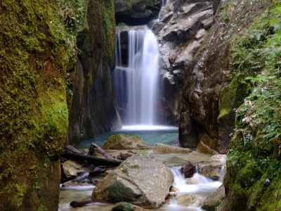 Nanling National Forest Park