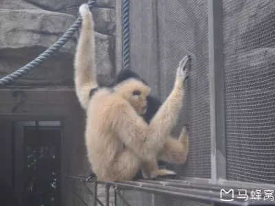 Nanning Zoo