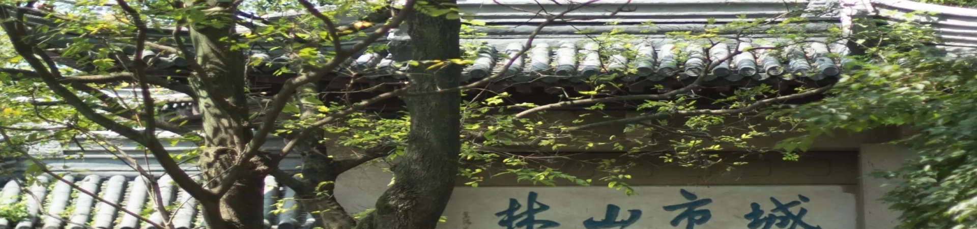 Top China Guide banner