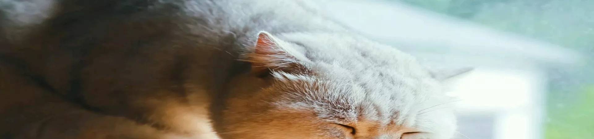 Top China Guide banner