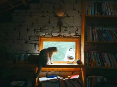 Nanshan One Tree Scenic Area