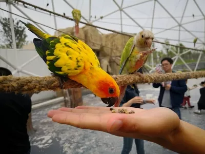 Nantong Forest Wildlife Park