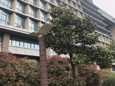 Nantong University 